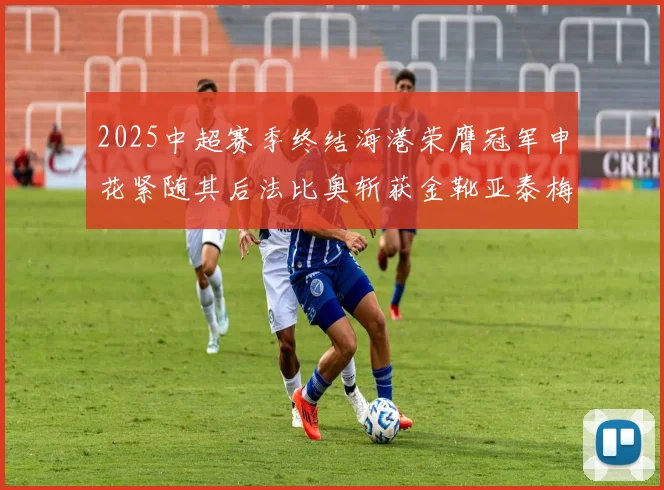 2025中超赛季终结海港荣膺冠军申花紧随其后法比奥斩获金靴亚泰梅州遗憾降级